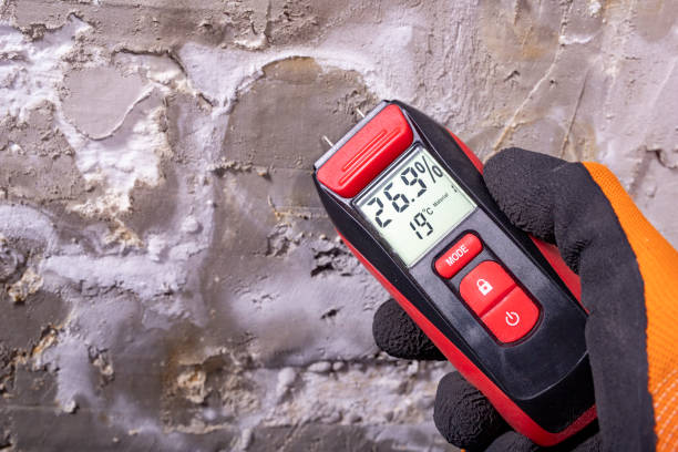 Best Post-Flood Mold Remediation in St Paul, NE